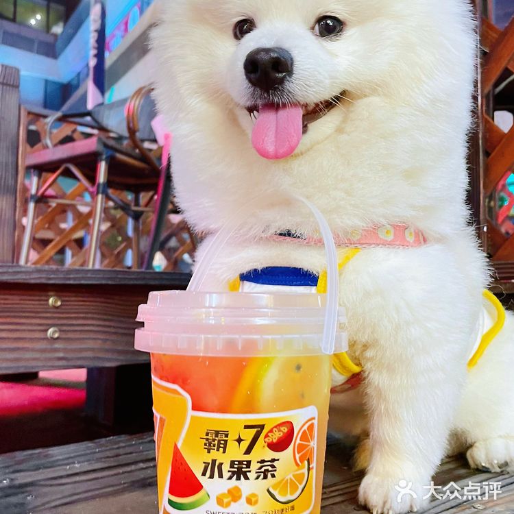 霸气外漏的7分甜新品-霸7水果茶来啦！