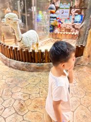 -宝燕乐园(闵行旗舰店)