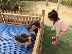 -萌宠亲子动物乐园(槐房万达店)