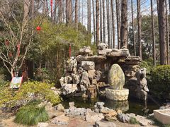 -上海醉白池公园