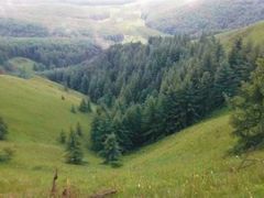 -塞罕坝国家级自然保护区