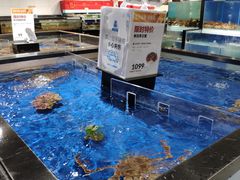 水产区-盒马鲜生(和谐广场店)