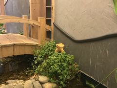 -邈墨茶馆(凤起路店)