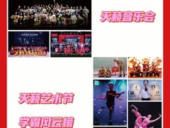 -天籁艺术高考培训学校·重庆艺考集训