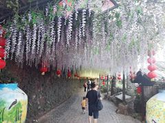-观澜山水田园