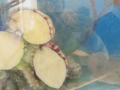 -宾朋海鲜特色美食餐厅·纯手工鲅鱼水饺(兴海路店)