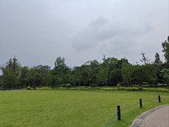 -洋湖国家湿地公园