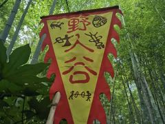 -善卷洞风景区