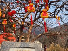 -潭柘寺景区