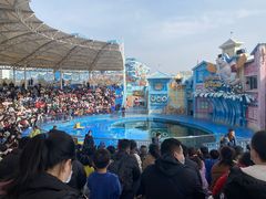 -华夏文旅海洋公园