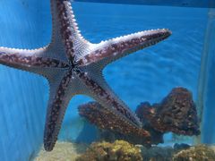 -常州海昌海洋探索馆
