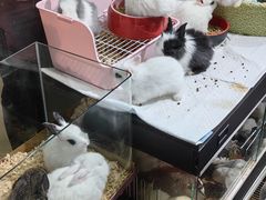 -三旗百汇商品城