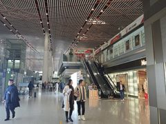 -首都机场T3航站楼商务CIP贵宾厅