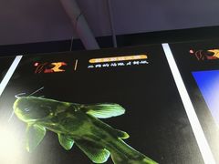 -蛙一刀·麻椒鱼火锅(金仙桥店)