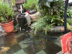 -吃货私房菜(丽江束河古镇店)