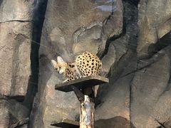 -哈尔滨波塞冬海底世界