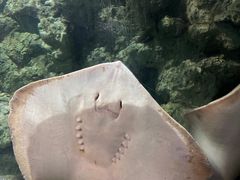 -杭州海底世界