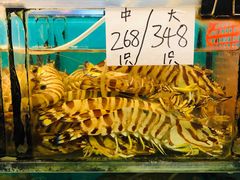 -鲜入围煮花胶鸡海鲜火锅
