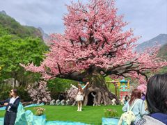 -河南宝泉旅游区
