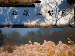 -杭州西溪喜来登度假大酒店