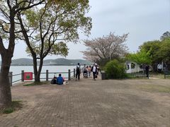 -无锡蠡湖国家湿地公园-蠡园