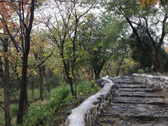 -阳台山自然风景区