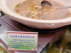大伙房水库有机胖头鱼-南湖春色海鲜食府(中兴街店)
