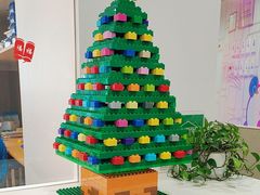 -乐高活动中心·少儿编程·乐高·机器人编程(SM广场校区)