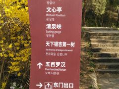 -浮来山风景区