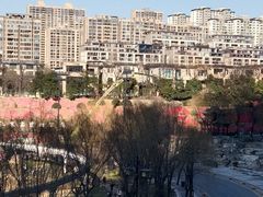 -西安曲江寒窑遗址公园