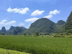 -钟山水墨田园