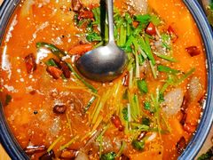 -滇铺子·云南特色菜·第九届野生菌美食节(东风东路c86店)
