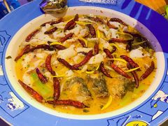 老坛酸菜鲈鱼-鱼库·不仅是一家烤鱼店(车公庙店)