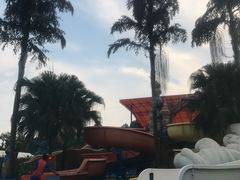 -重庆海昌加勒比海水世界