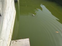 -圆通寺