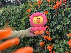 -东莞植物园