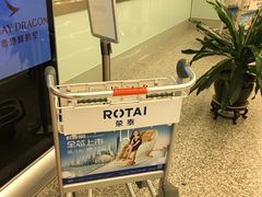 -温州龙湾国际机场