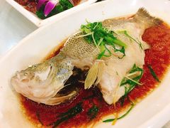 清蒸鲈鱼-南宁肥仔饭店(江南店)