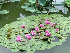 -国家植物园南园