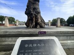 -许慎文化园