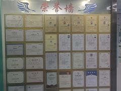 -博特宠物医院24h犬猫全科.骨科·异宠