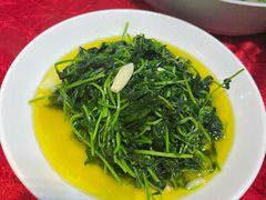 豆苗-蔡阿水羊肉店