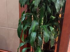 -金时代顺风大酒店(兰生大厦店)