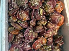 -岳各庄批发市场(西四环中路店)