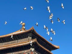 -故宫博物院(故宫)
