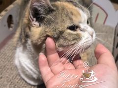 -隅cafe(傅厚岗店)
