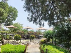 -蘇河湾·新鲁菜·泰山宴(泰山店)