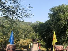 -南宁良凤江国家森林公园