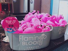 -Flamingo Bloom(TST /尖沙咀店)