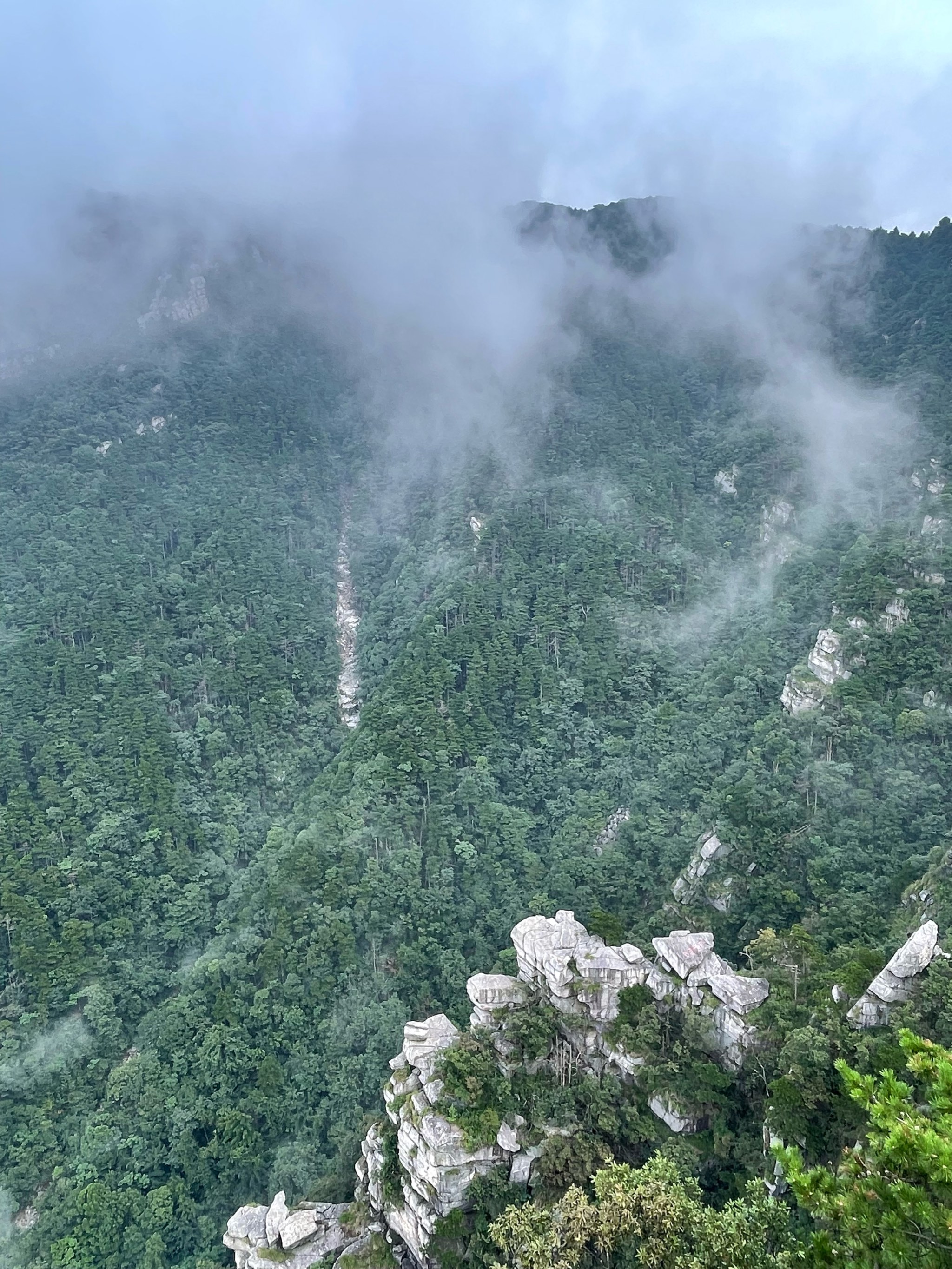 庐山云雾景观图片